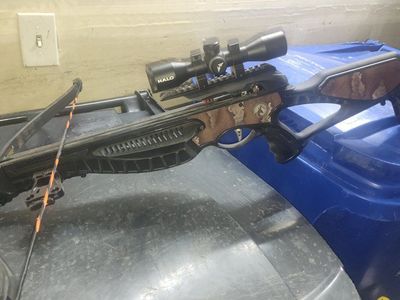 barnett wildcat crossbow