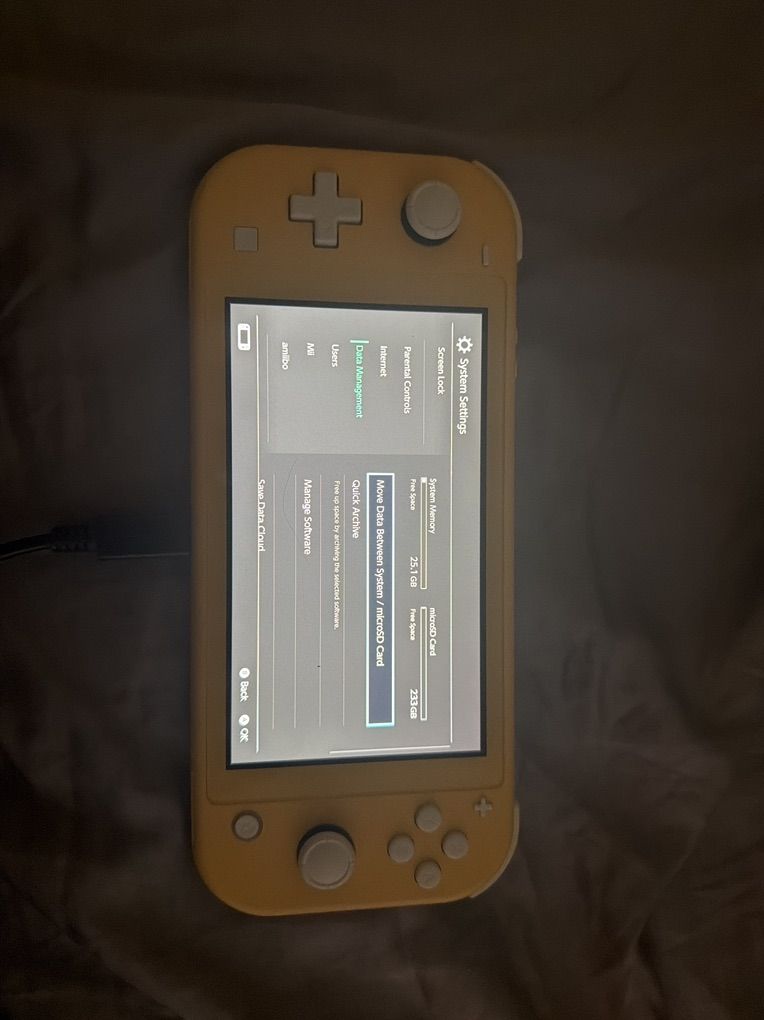 Switch Lite, 256 GB Card, Original Charger
