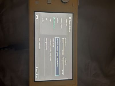 Switch Lite, 256 GB Card, Original Charger