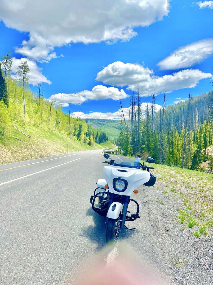 2019 chieftain for sale