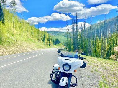 2019 chieftain for sale