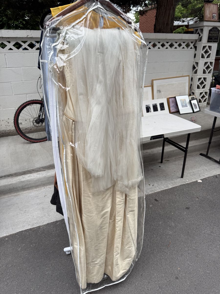 Wedding Gown And Cathedral Veil (& A Great Story)
