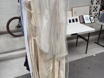 Wedding Gown And Cathedral Veil (& A Great Story)