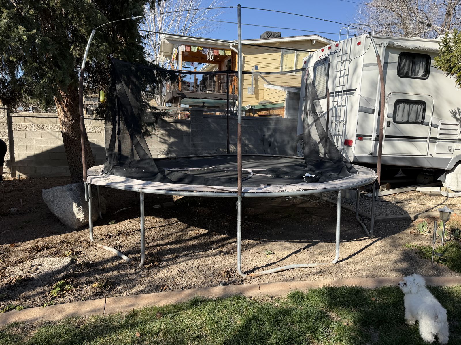 FREE Trampoline