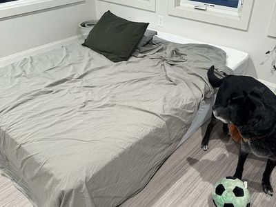 Helix Dawn Queen Mattress