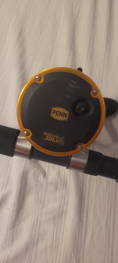 Penn Squall 30LD/Shakespeare Tidewater Fishing Rod & Reel Combo - Used. Ready to use.