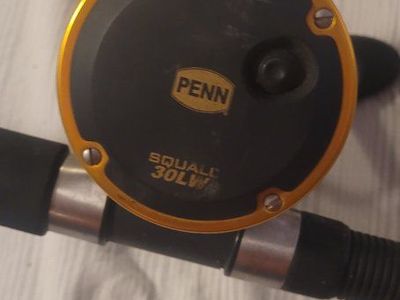 Penn Squall 30LD/Shakespeare Tidewater Fishing Rod & Reel Combo - Used. Ready to use.