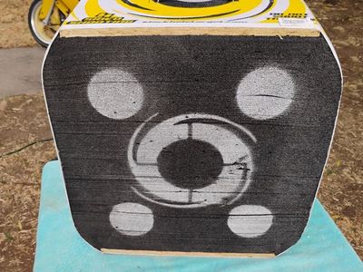 Black Hole 22 Archery Target 4 Sided