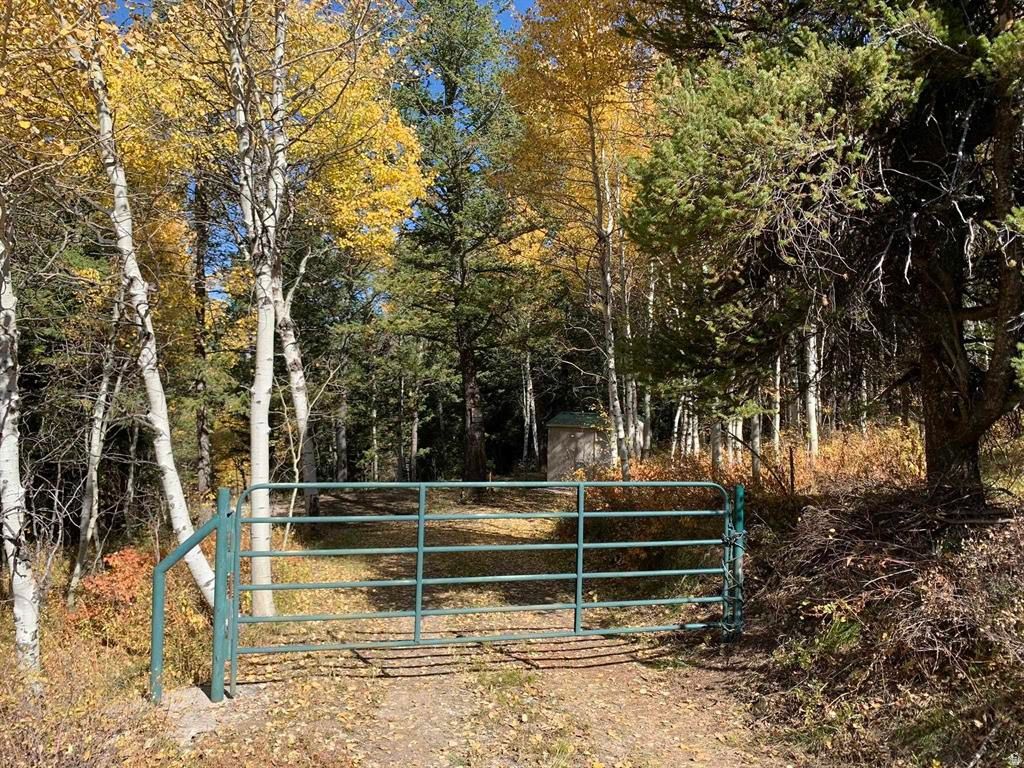 Lava Hot Springs acreage
