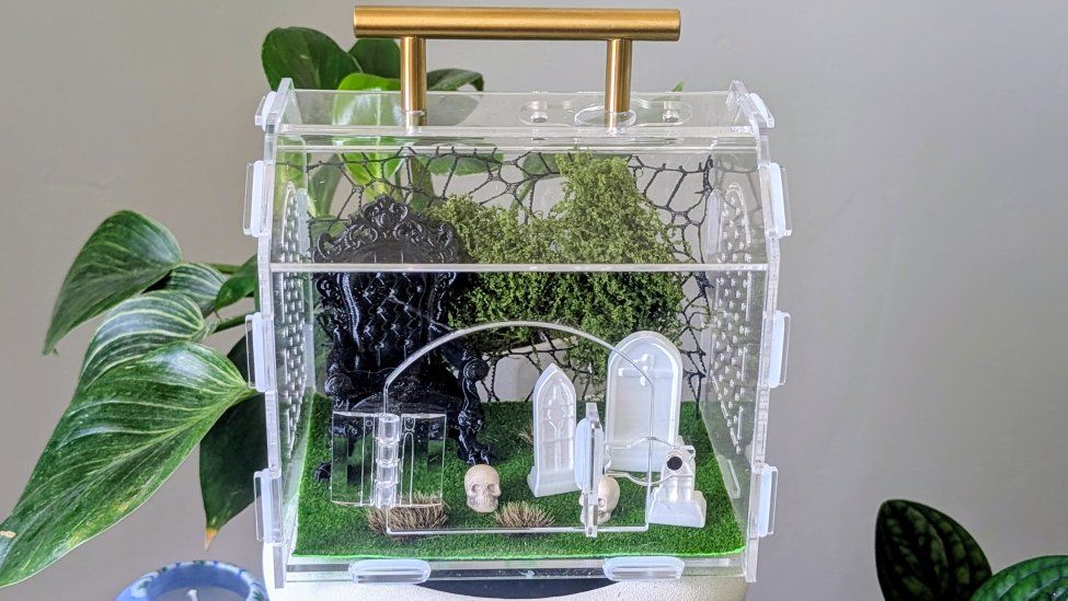 Jumping spider enclosure, spider terrarium, spider house and accessories. No spider