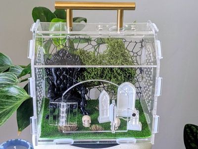 Jumping spider enclosure, spider terrarium, spider house and accessories. No spider