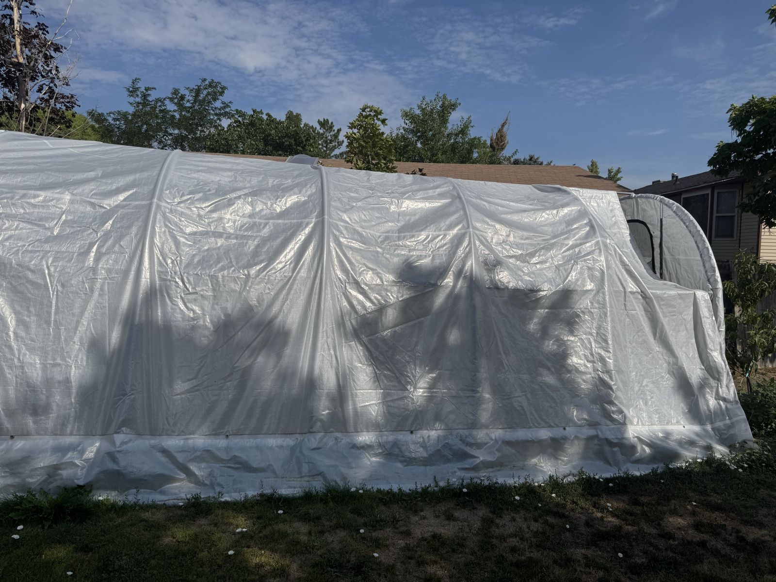 Green house