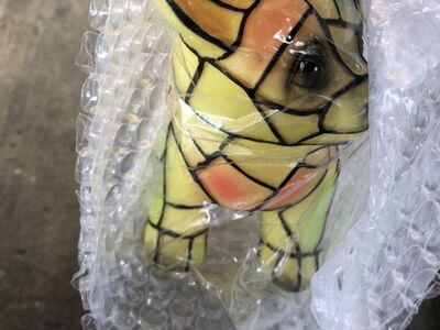 Light Up Dog Kids Toy