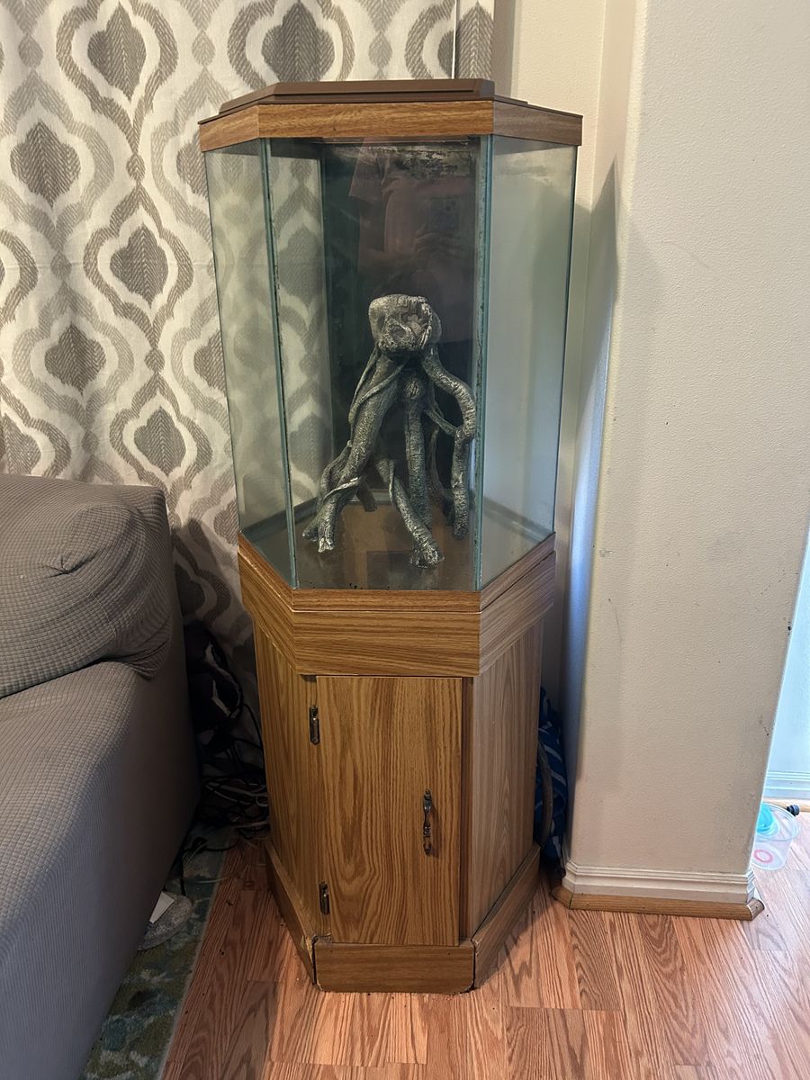 20 gal Hexagon fish tank and stand ect