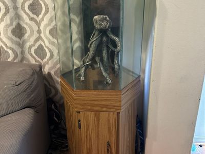 20 gal Hexagon fish tank and stand ect