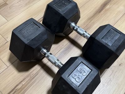 85lb Rogue Dumbbells