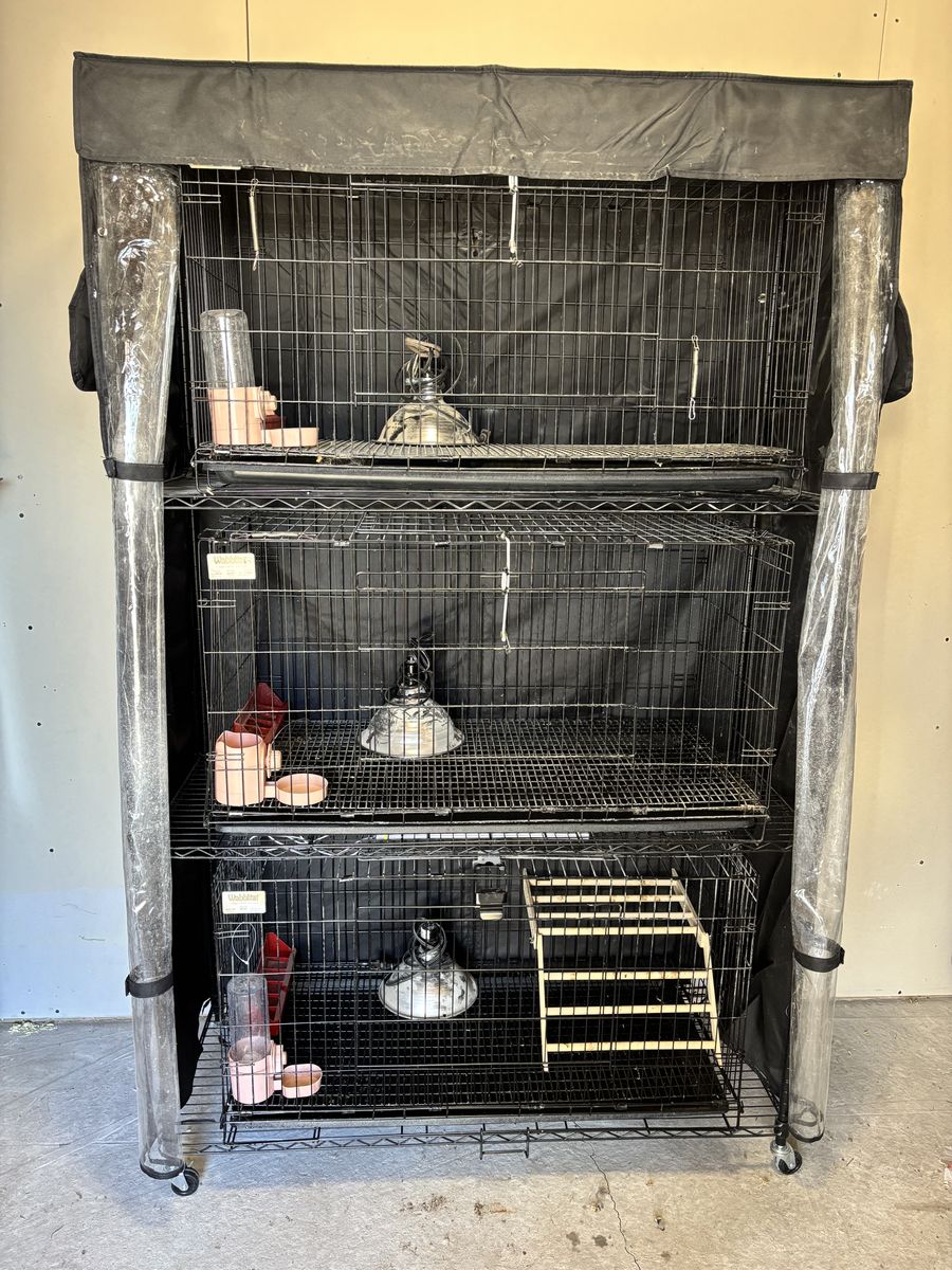 Stacked chick brooders