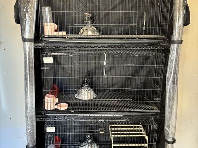 Stacked chick brooders