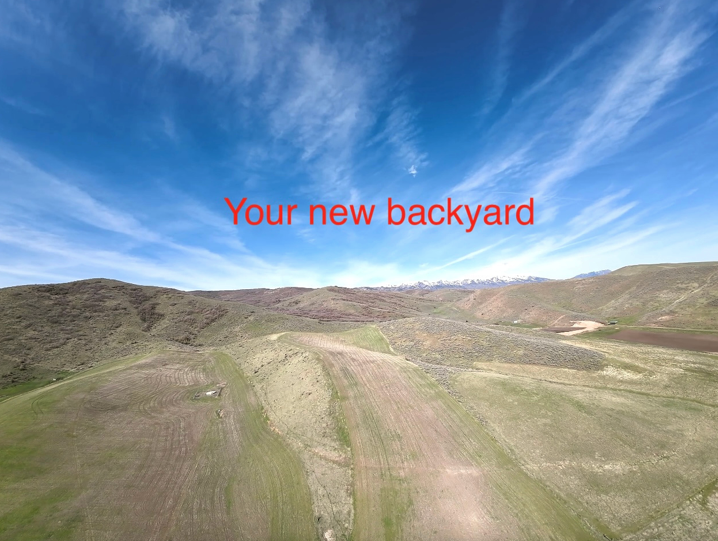 Main image 4