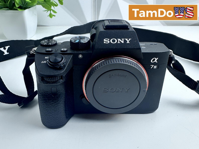 Sony - Alpha a7 III Mirrorless Camera (Body Only)