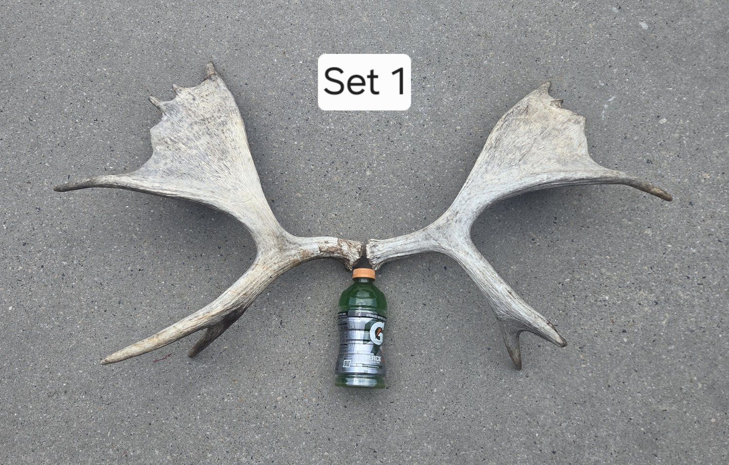 Antler Sets