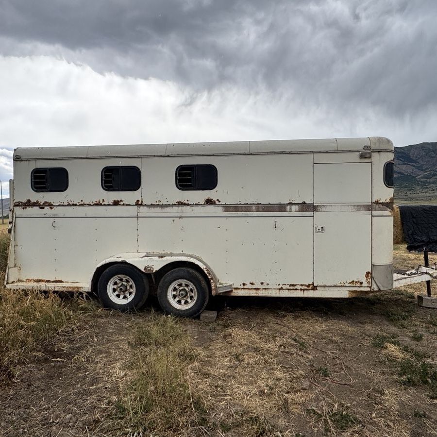 4 Horse Slant - 1992 Logan Coach