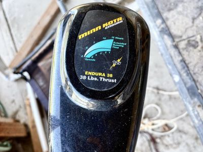 Minn Kota Endura 38 Trolling Motor - 38 lbs. Thrust, 12V