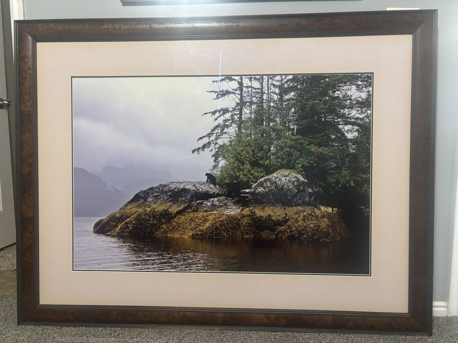 Thomas Mangelsen - Guardian Of Knight Inlet