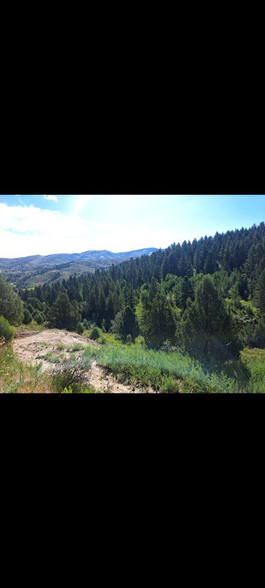 Main image 3