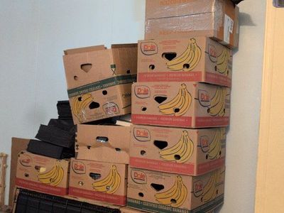 Assorted Cardboard Moving Boxes and Banana Boxes