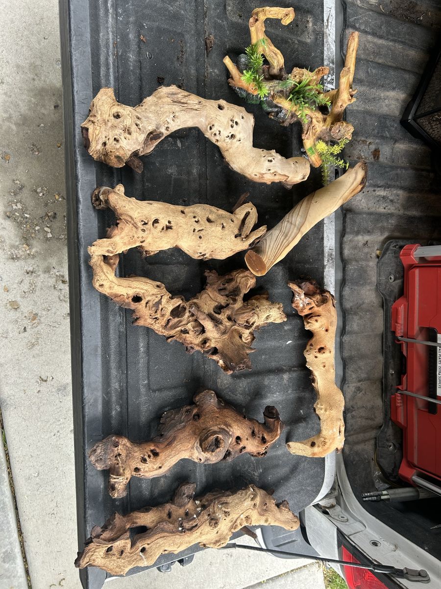 Terrarium wood