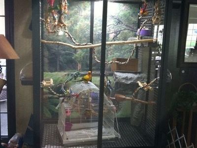 Cages by Design bird cage