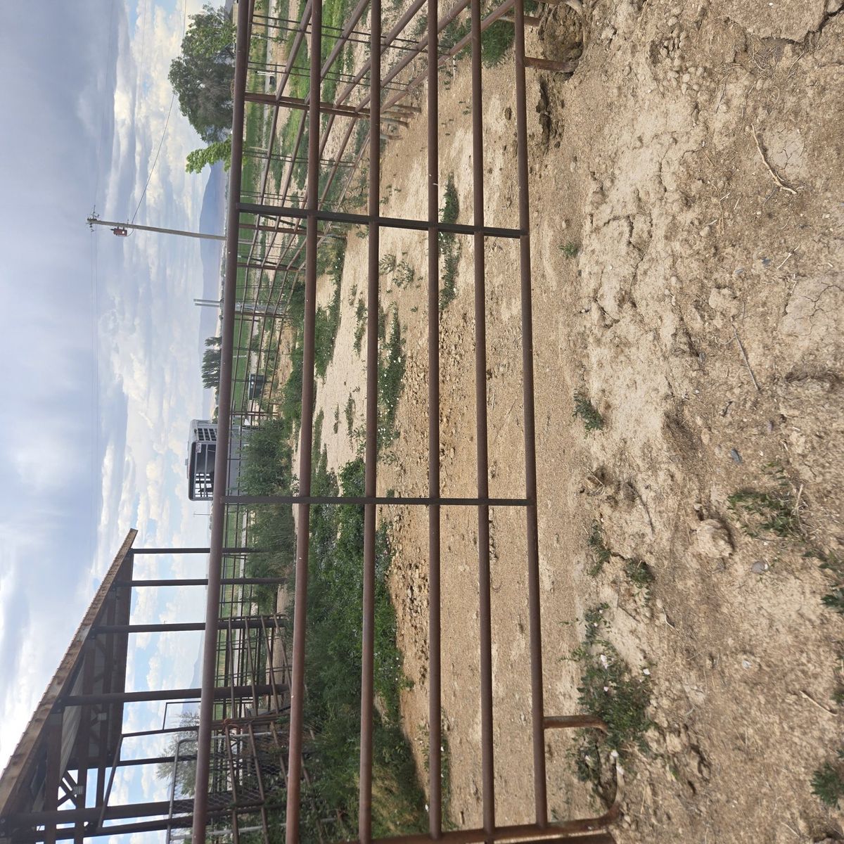 livestock panels