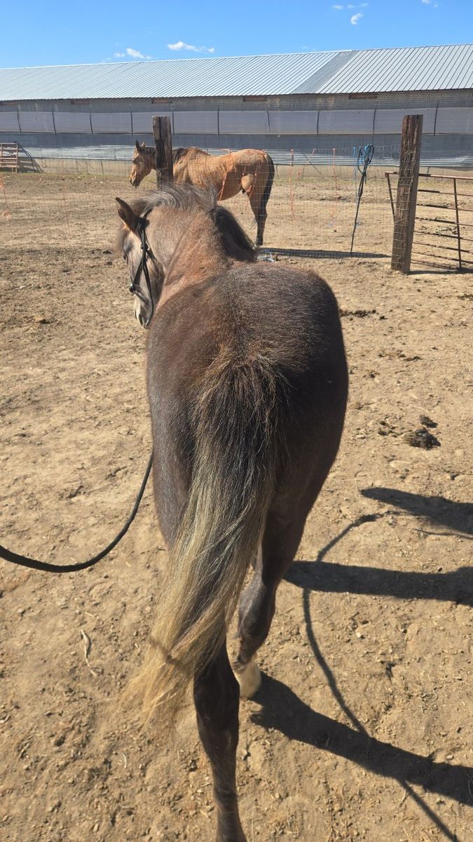 Coming 2 year old!