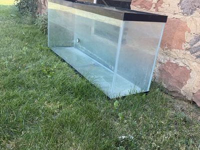 Large Glass Aquarium / Terrarium Tank with Black Frame