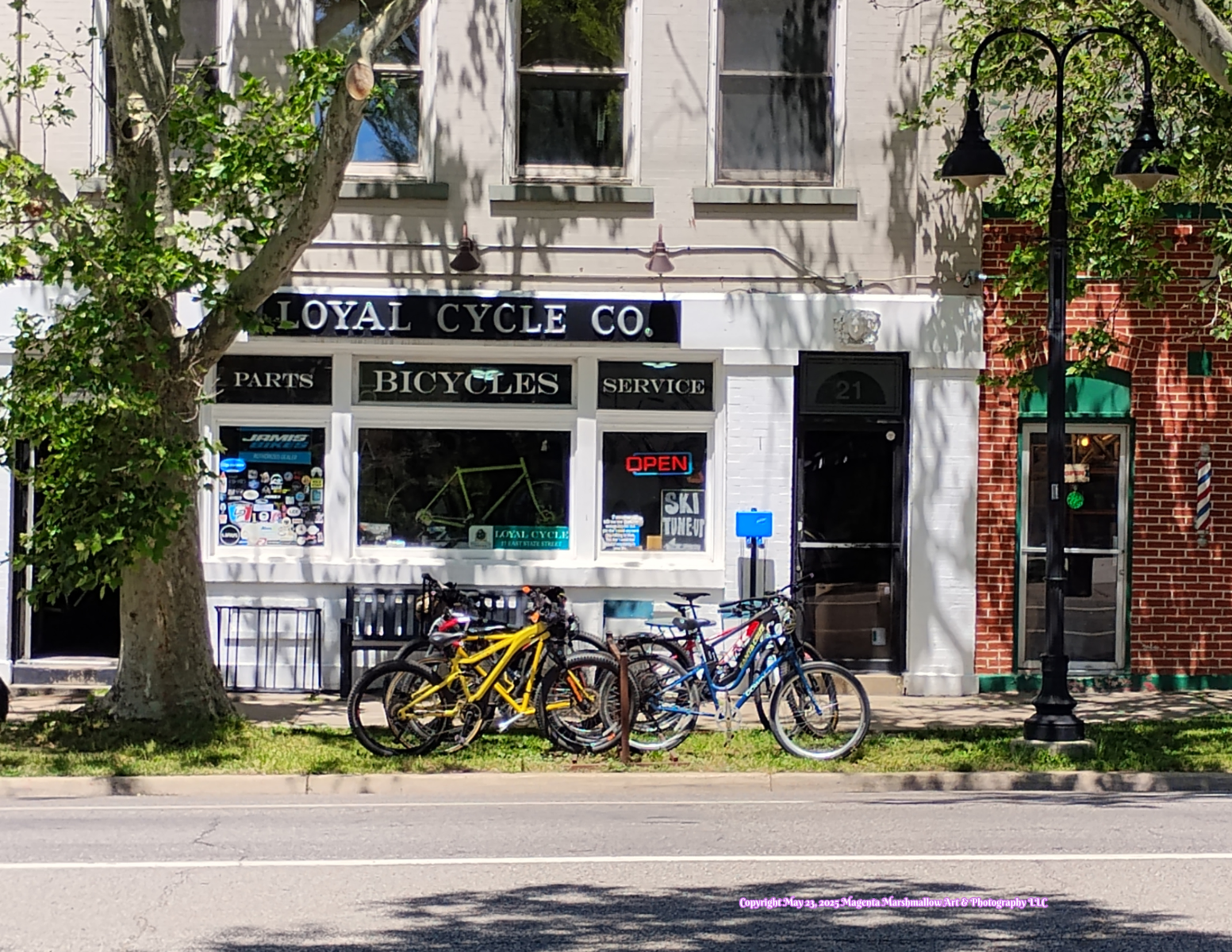 Loyal Bicycle Co. - Metal Print