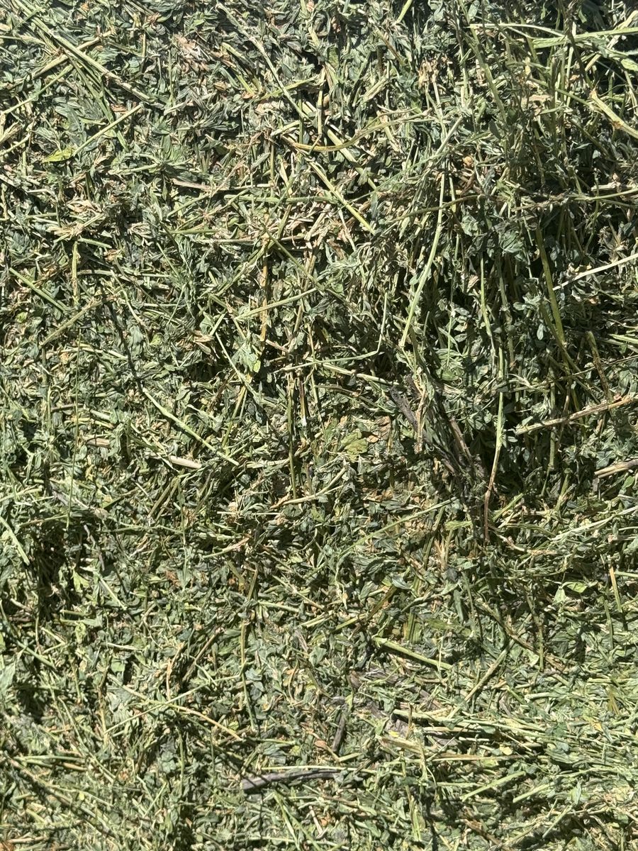 Main image 3