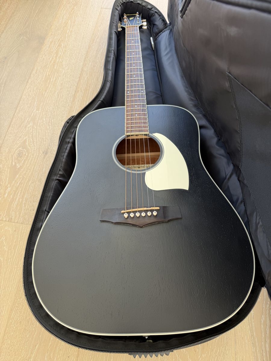 Ibanez Dreadnought Acoustic Guitar in Matte Black with Gig Bag