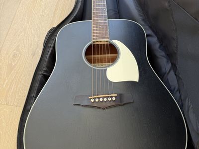 Ibanez Dreadnought Acoustic Guitar in Matte Black with Gig Bag