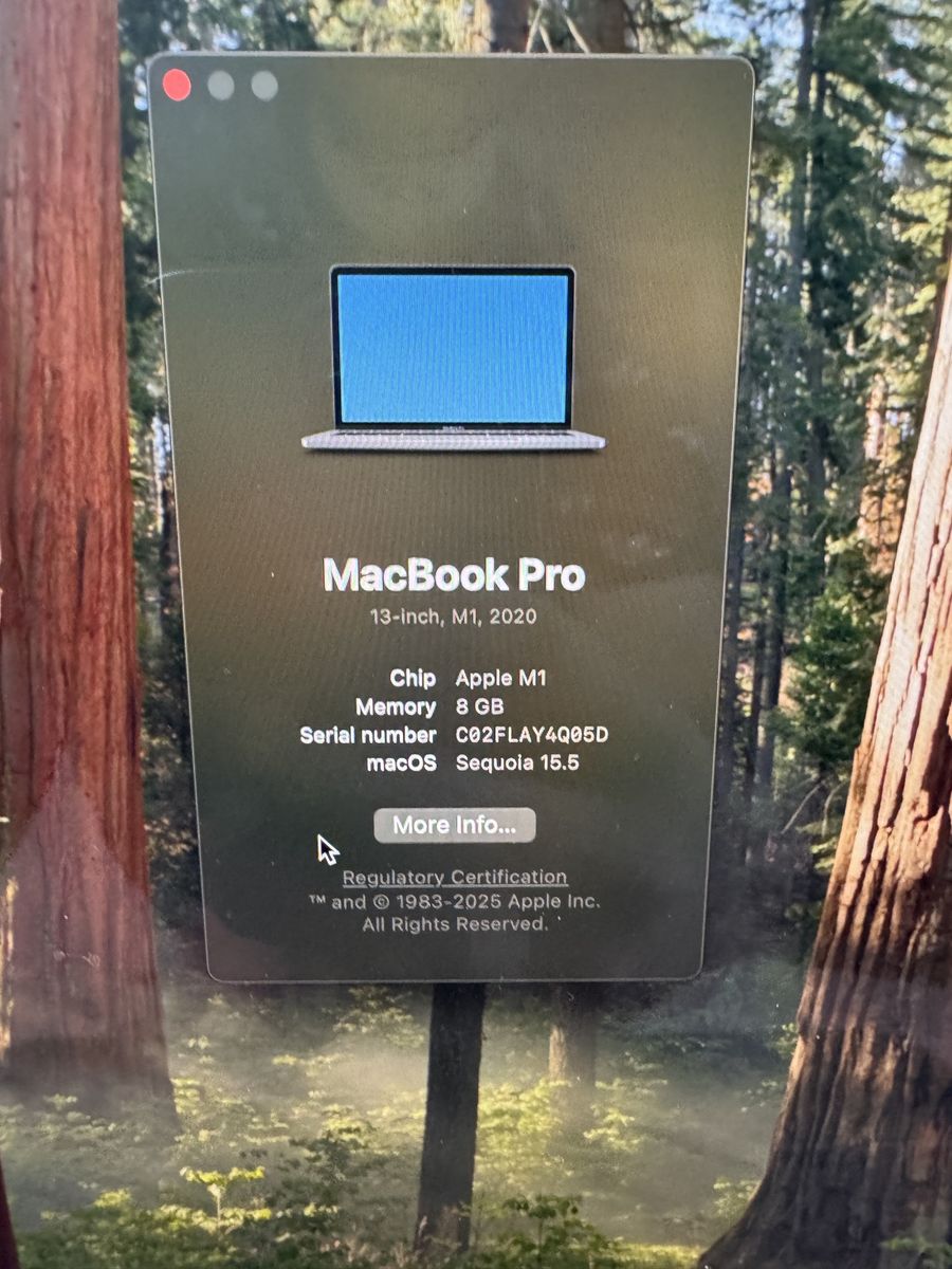 Apple MacBook Pro 13-inch (2020) - M1 Chip, 8GB RAM, 