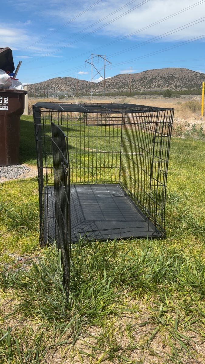 Large dog crate