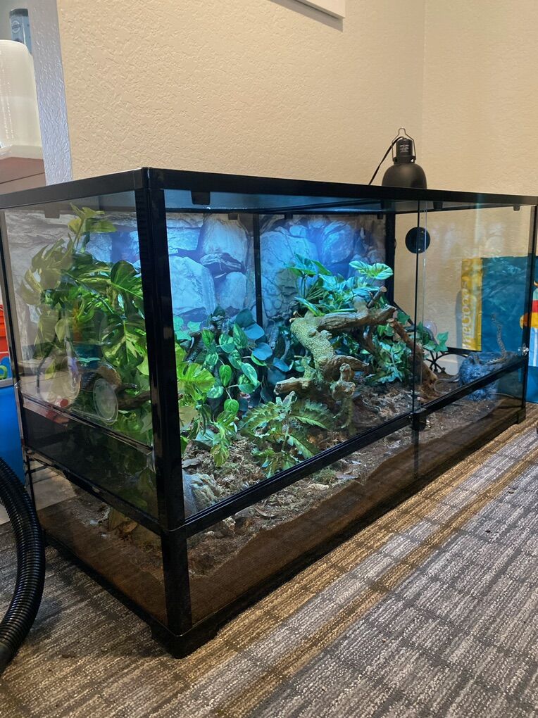 90 Gallon Bio Active Terrarium With Garter Snakes