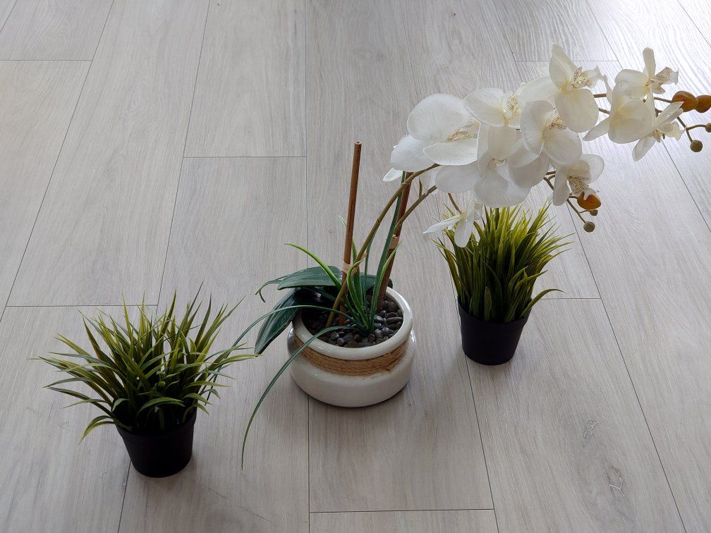 Decorative Plastic Plants