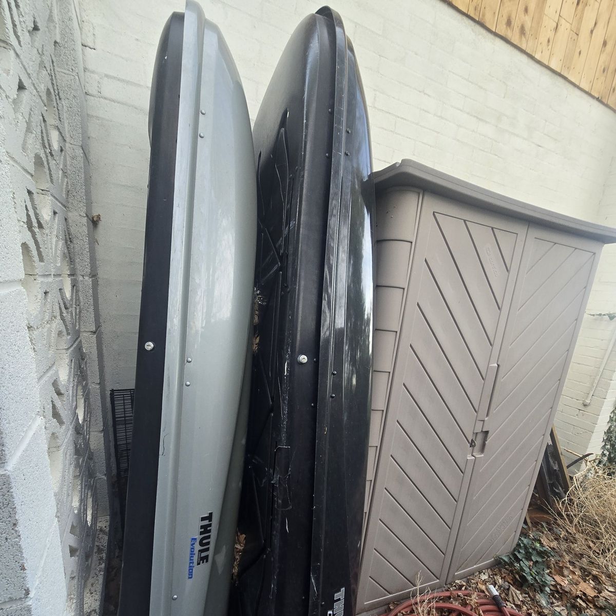 the silver Thule free