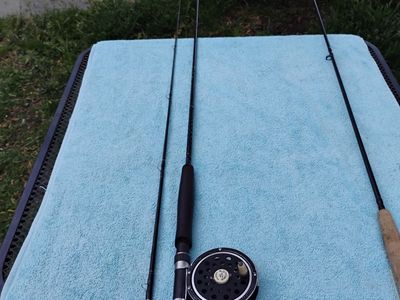 Fly Rod And Reel Browning 8' Pole Pflueger Reel