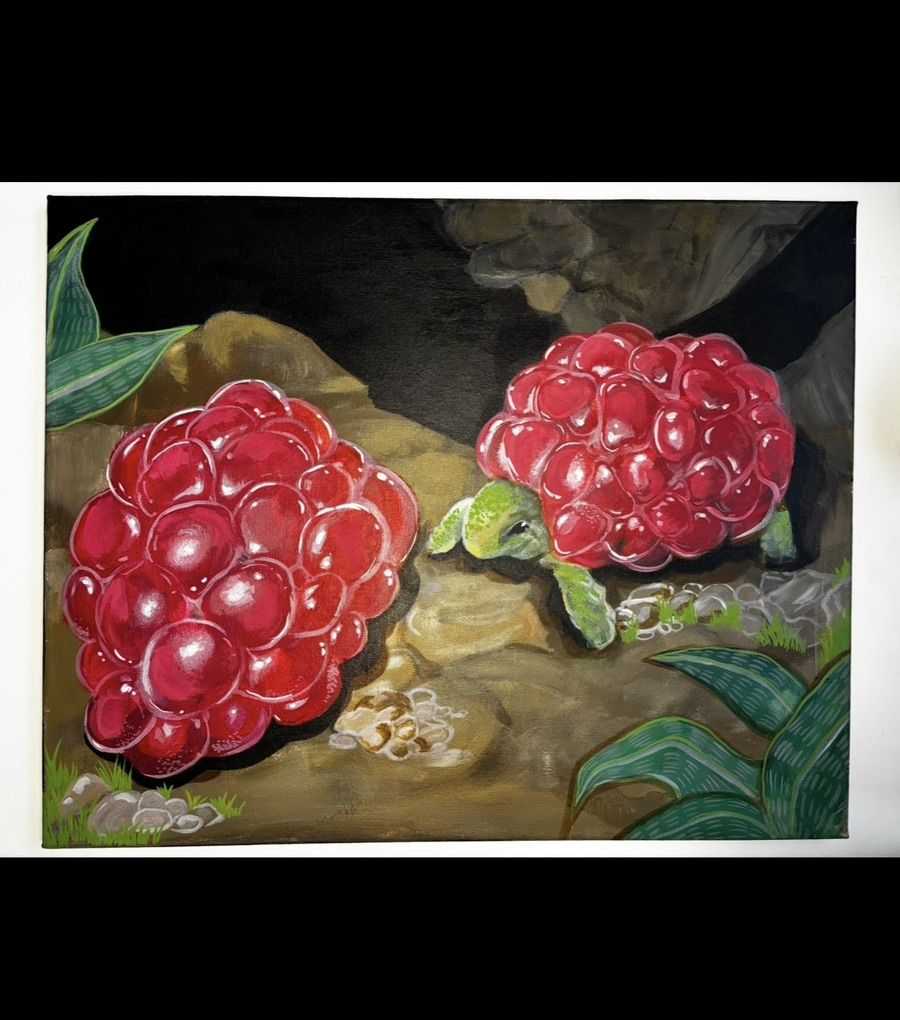 Rasberry Tortoises (20x16 in)