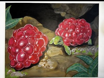 Rasberry Tortoises (20x16 in)