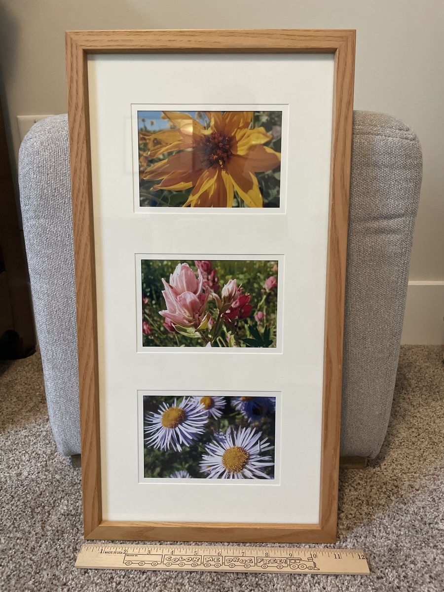 Utah Native Wildflower Trio