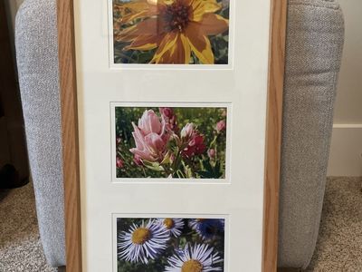 Utah Native Wildflower Trio