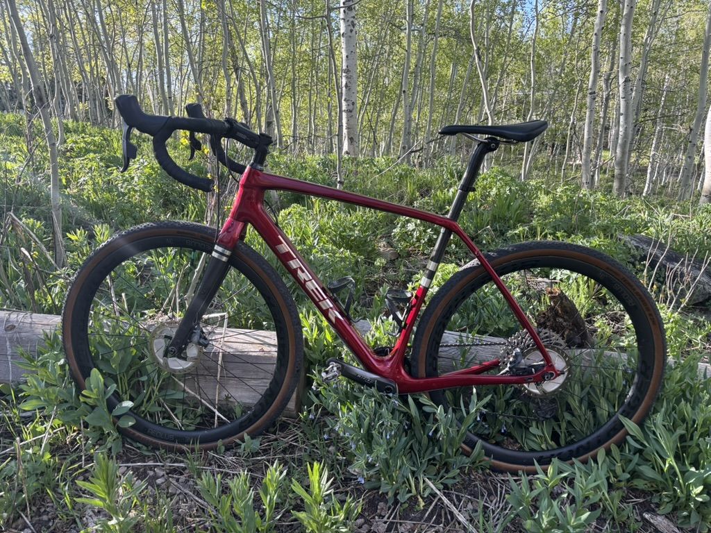 2021 Trek Checkpoint SL7 56cm